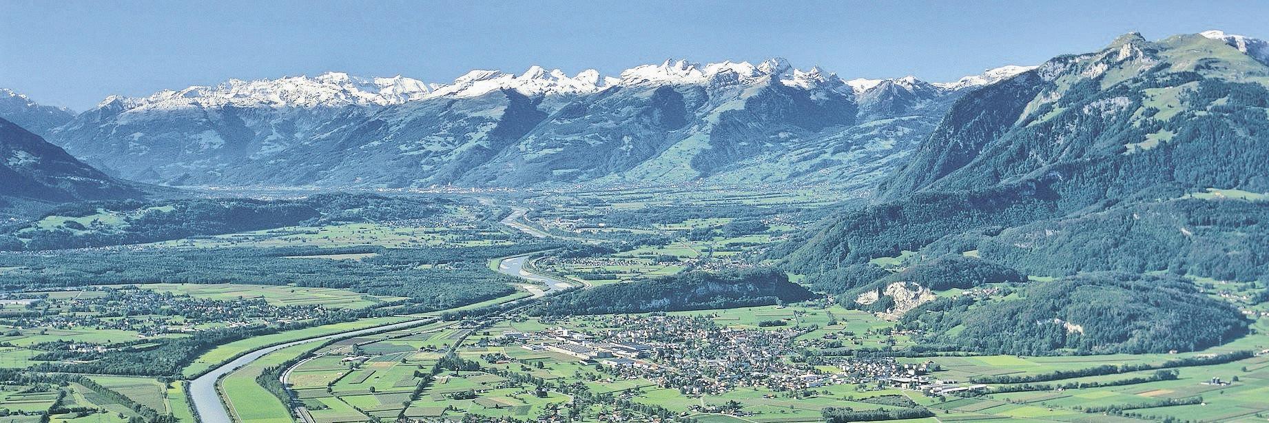 Thomas Ammann banner