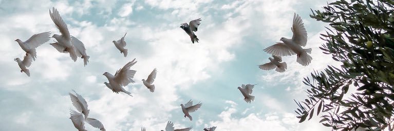 sh__acm's profile banner image