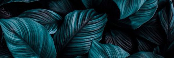 krishiosity Profile Banner