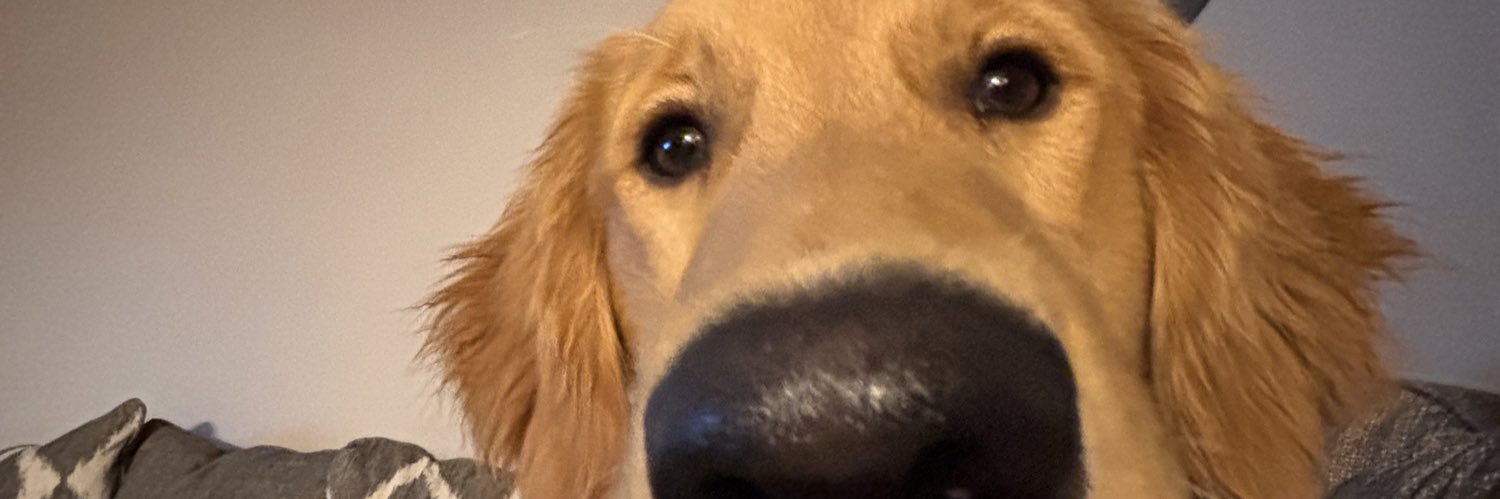 cerenitydailey's profile banner image