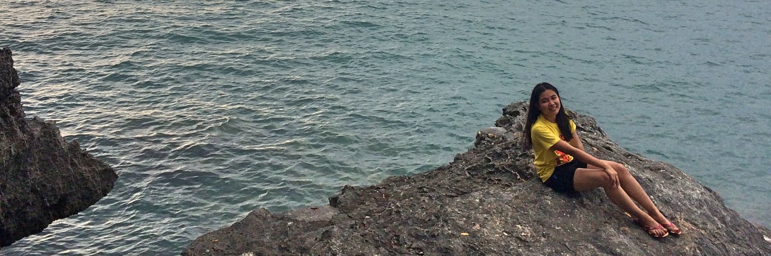 Chreshniss's profile banner image