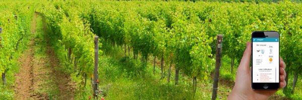 eVineyard_app Profile Banner
