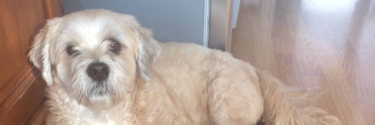 UttleyTracy's profile banner image