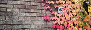 andreily_lahoz's profile banner image