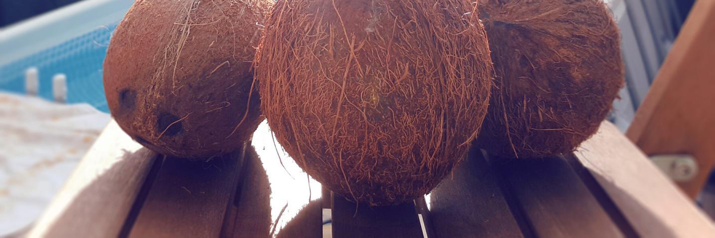 e_coconuts_com's profile banner image