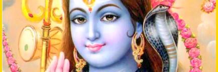 bhagcha's profile banner image