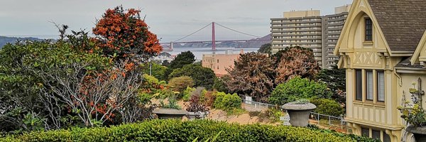 dbocciolini Profile Banner