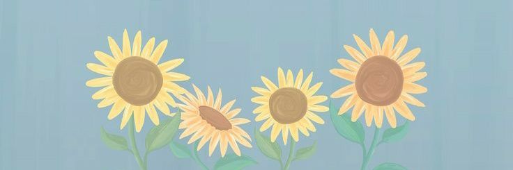 aishmay's profile banner image