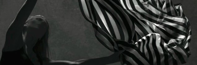SandraShihParks's profile banner image