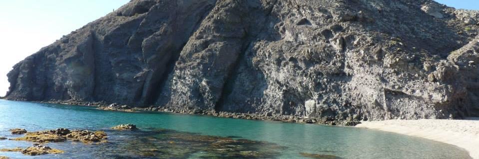 Rocio9Camacho's profile banner image