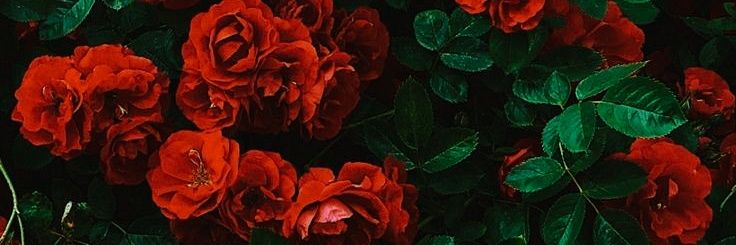 LoreenDbl's profile banner image