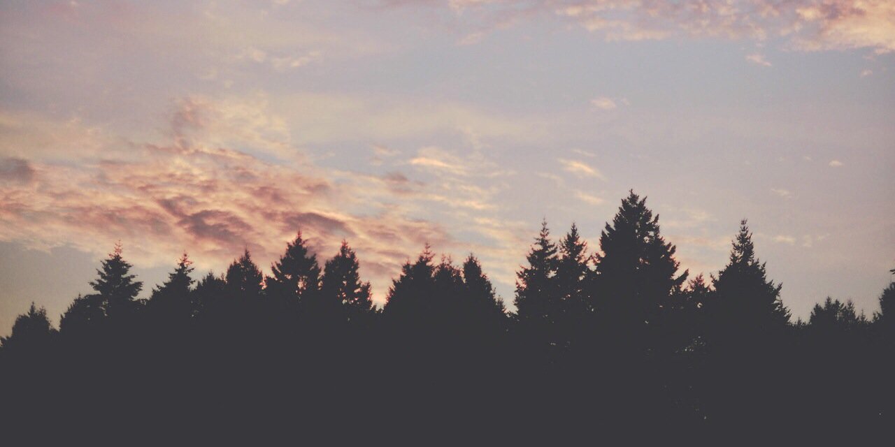 daynanicolea's profile banner image