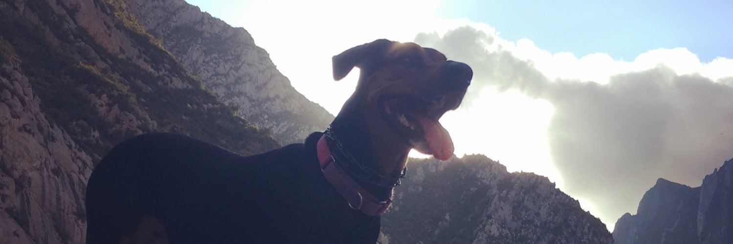 Miz_Hogan's profile banner image