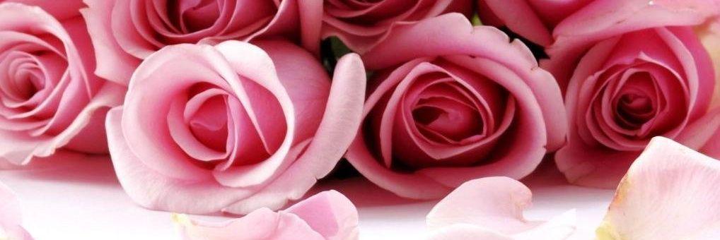 TinaMarouk's profile banner image