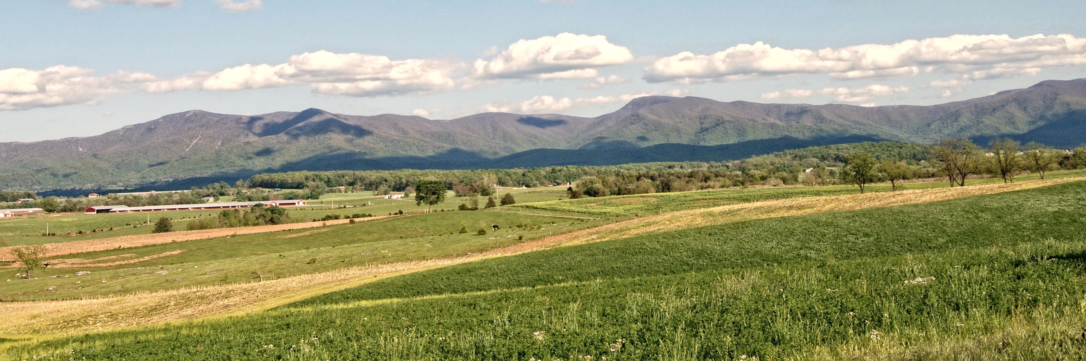 PageCoVa's profile banner image