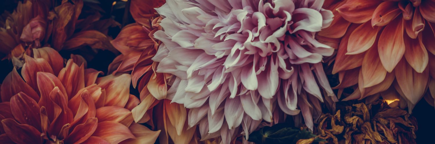 by_JMSto's profile banner image