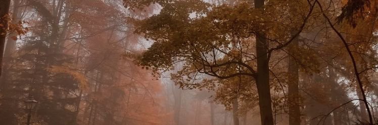 𝚔𝚊𝚝𝚒𝚎 🎃 banner