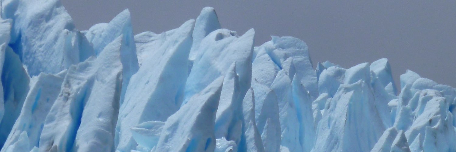 sylvia_binner's profile banner image
