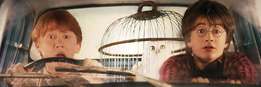 Inmobilus's profile banner image