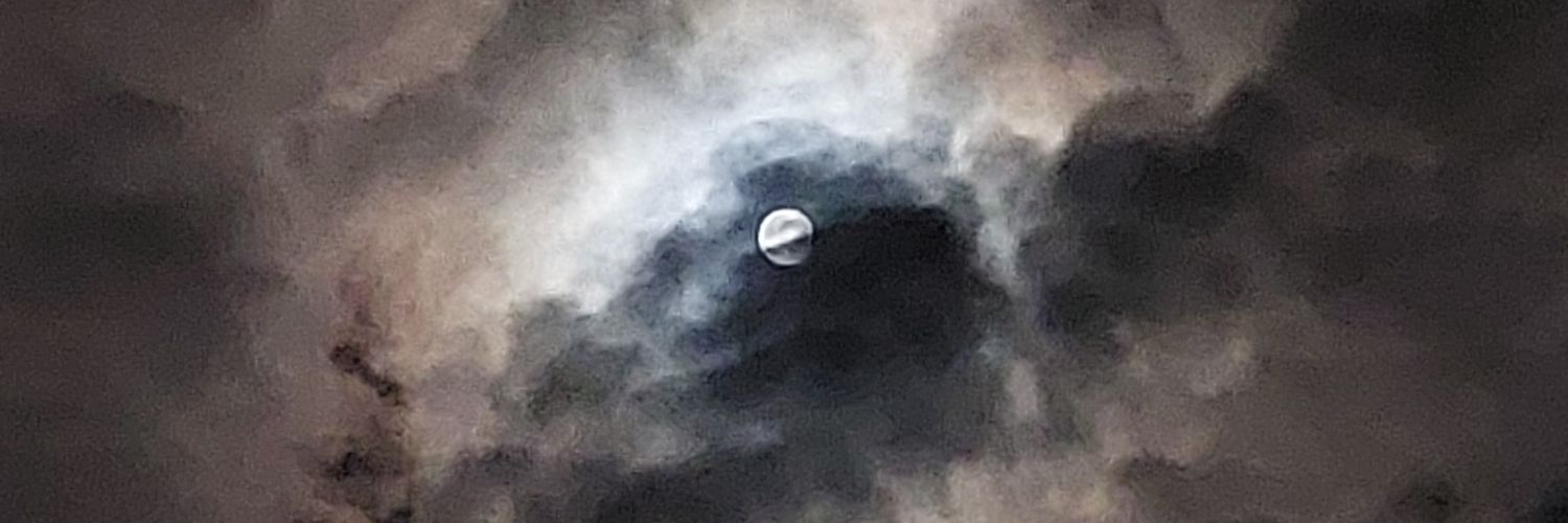 LillyferSkye's profile banner image