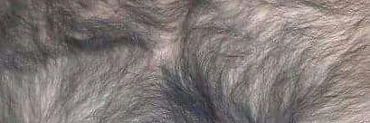 wwamm75's profile banner image