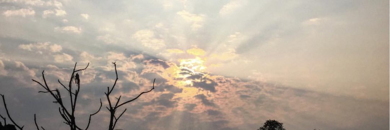 nathan_willins's profile banner image