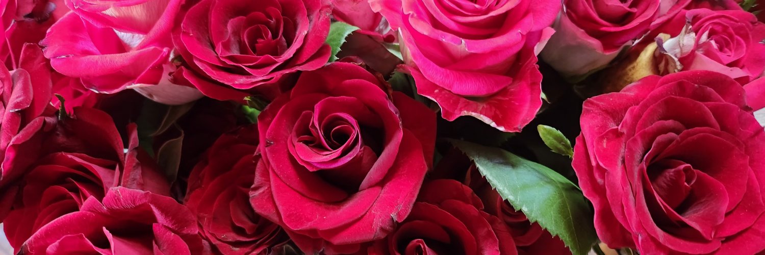 tttersia's profile banner image