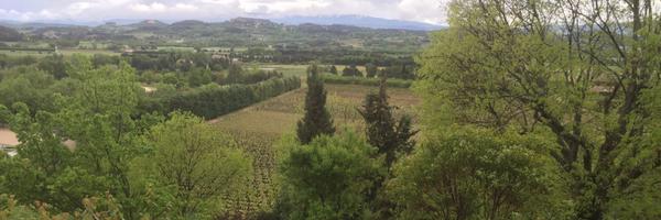 CarolineDuc75 Profile Banner