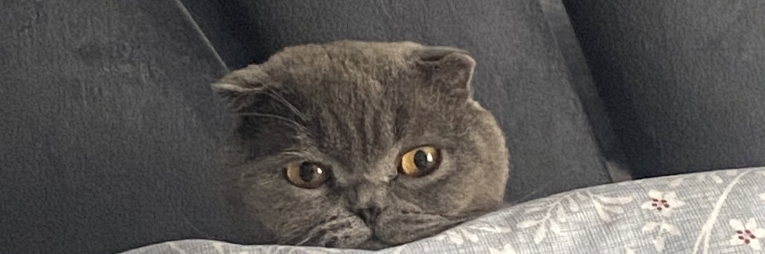 ireminoon's profile banner image