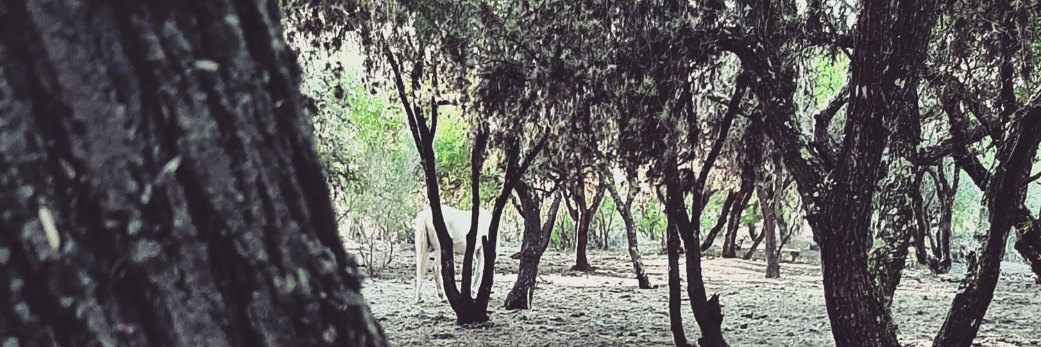 Toscano_ep's profile banner image