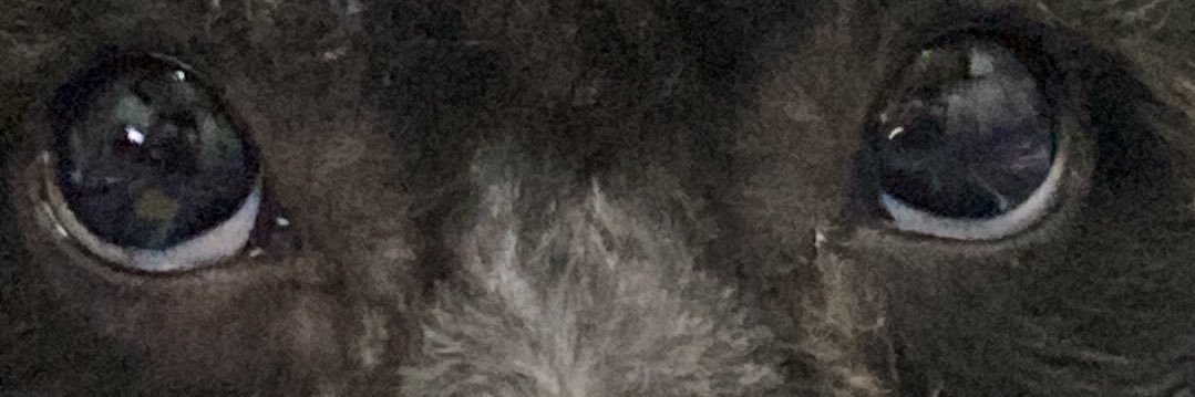 Jqnvalle's profile banner image