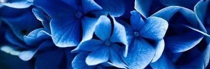 ladyhellmua's profile banner image