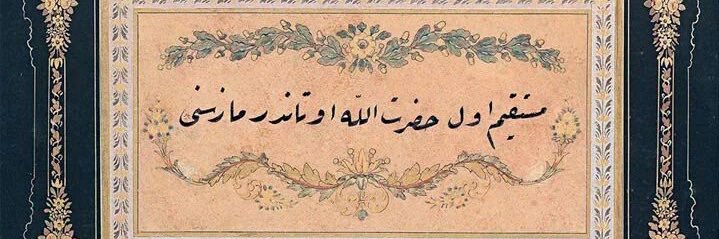 isa_acarr's profile banner image