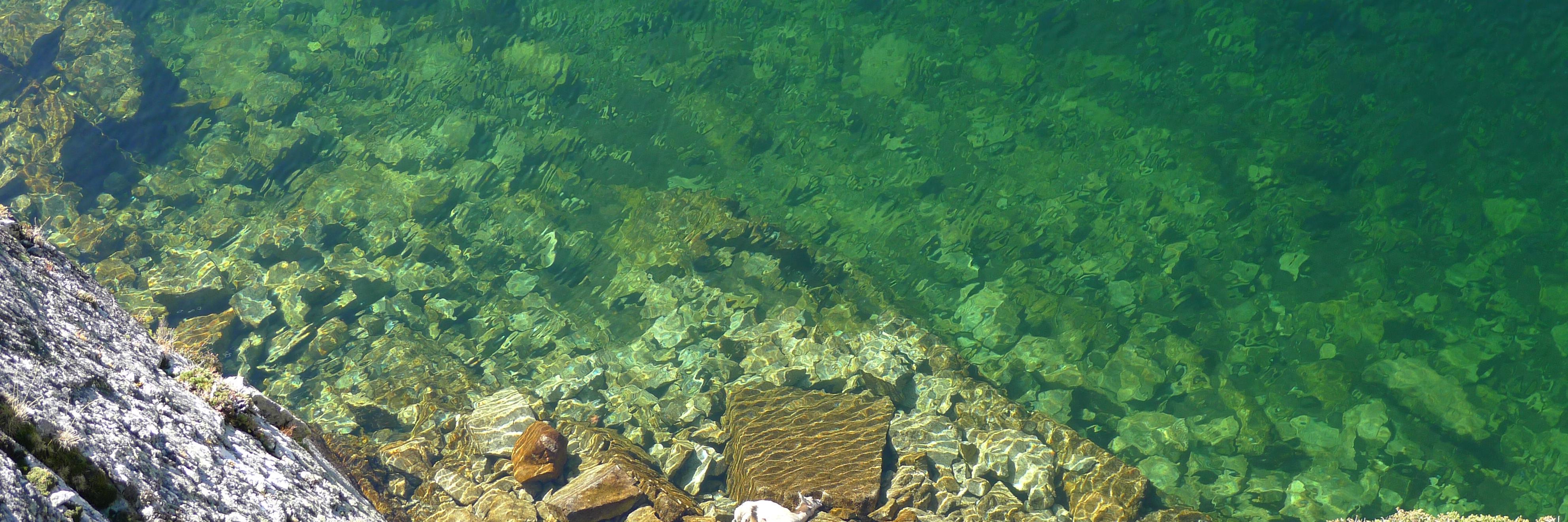 Erundino Alonso banner