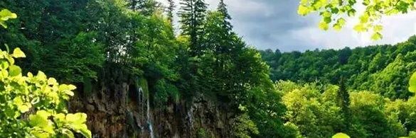 vkfeksogl's profile banner image