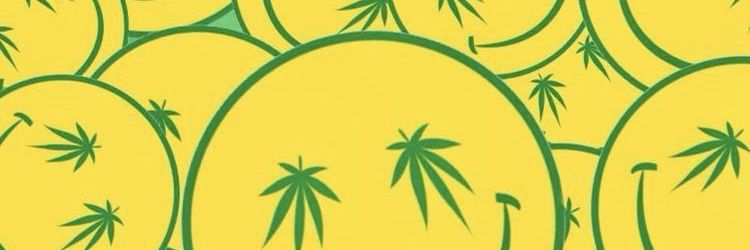 sativa_heyder's profile banner image