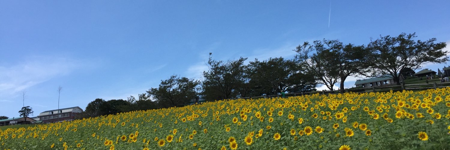 3_qg9's profile banner image