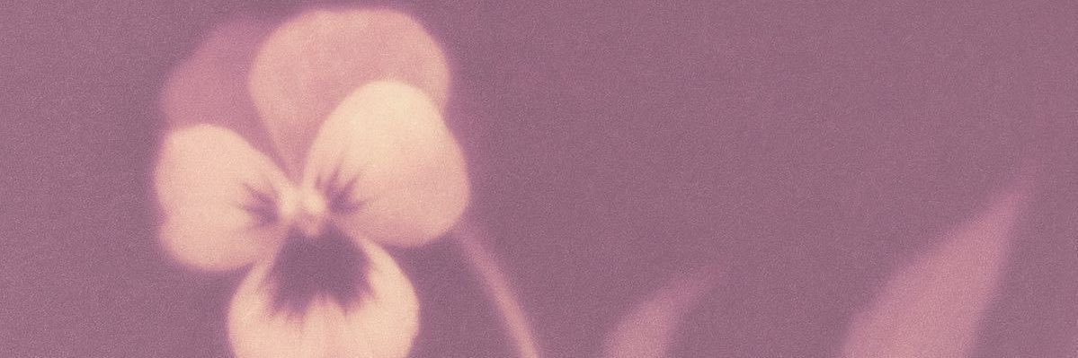 gemplut's profile banner image