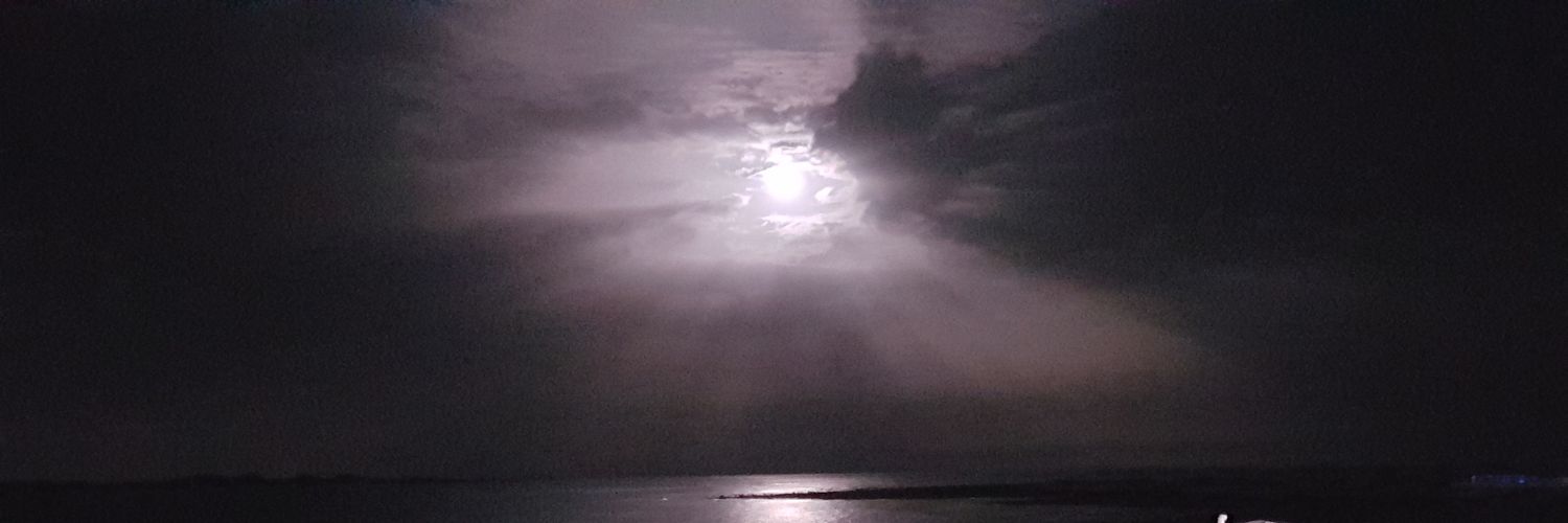 pleierkn's profile banner image