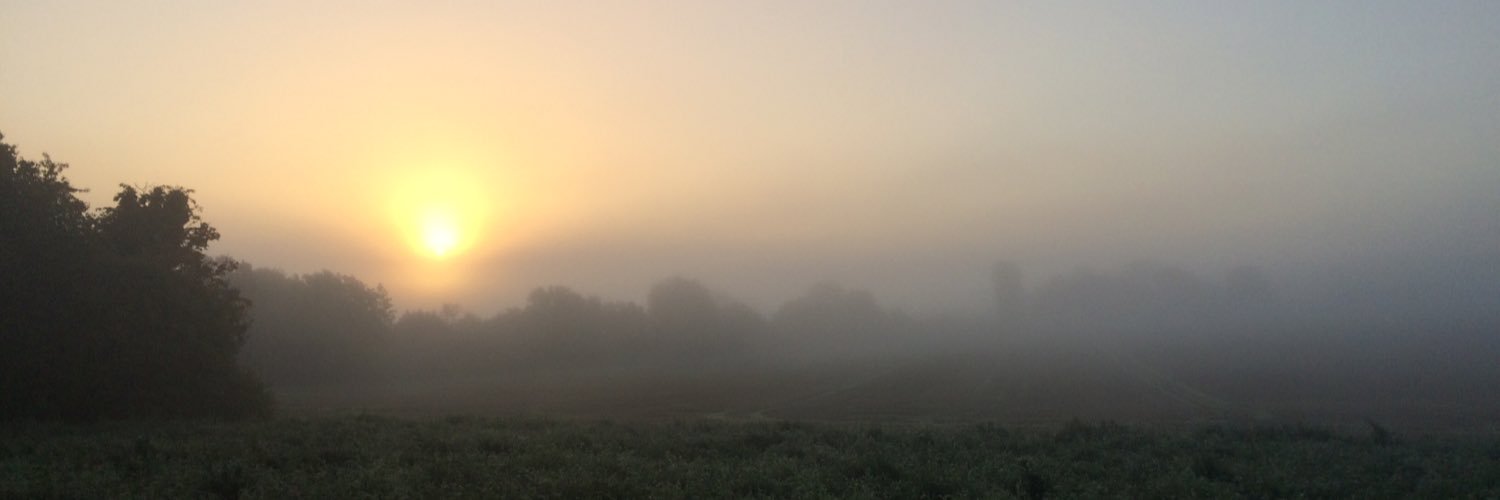 PeejayProwse's profile banner image
