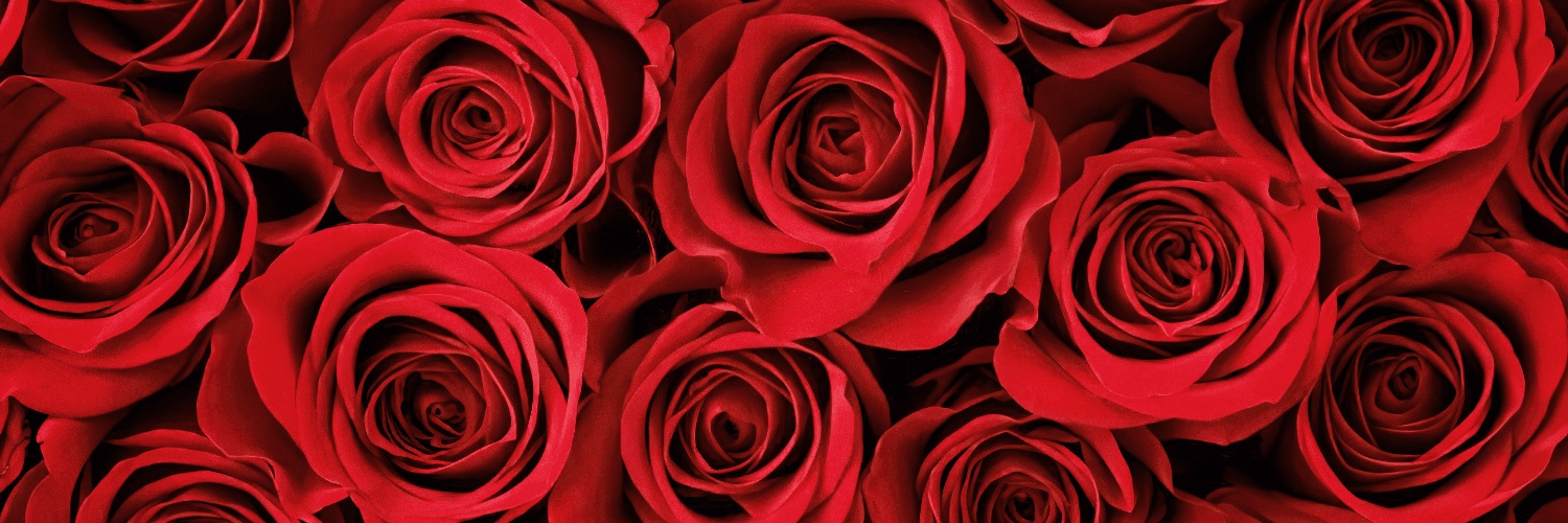 elivecreative's profile banner image