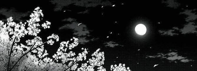 zbam_1's profile banner image