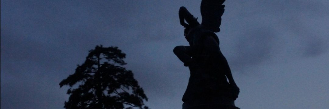 aivilzu's profile banner image