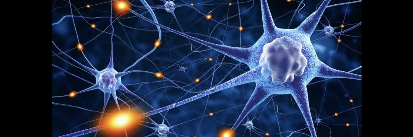 Diane Boothman banner