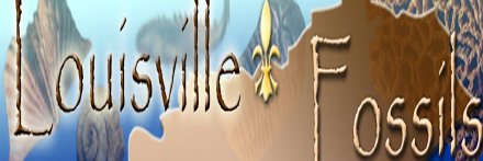 lvillefossils's profile banner image