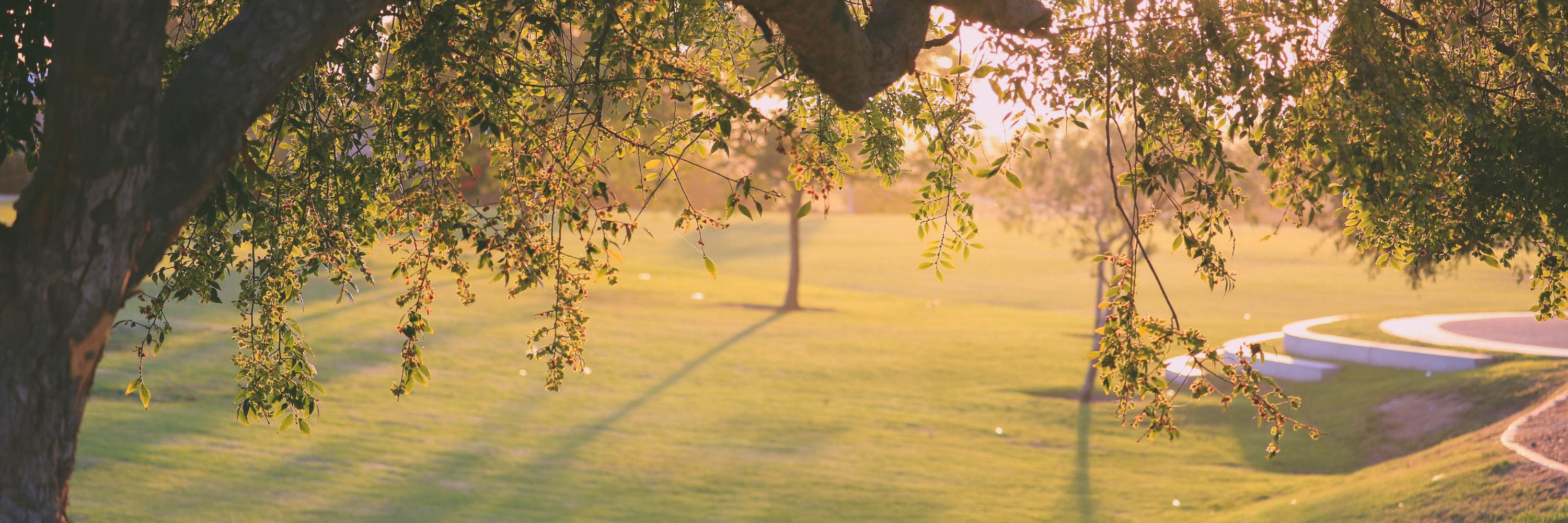 VanessaTopacio's profile banner image