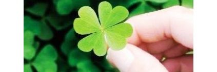 Tainara_hable's profile banner image
