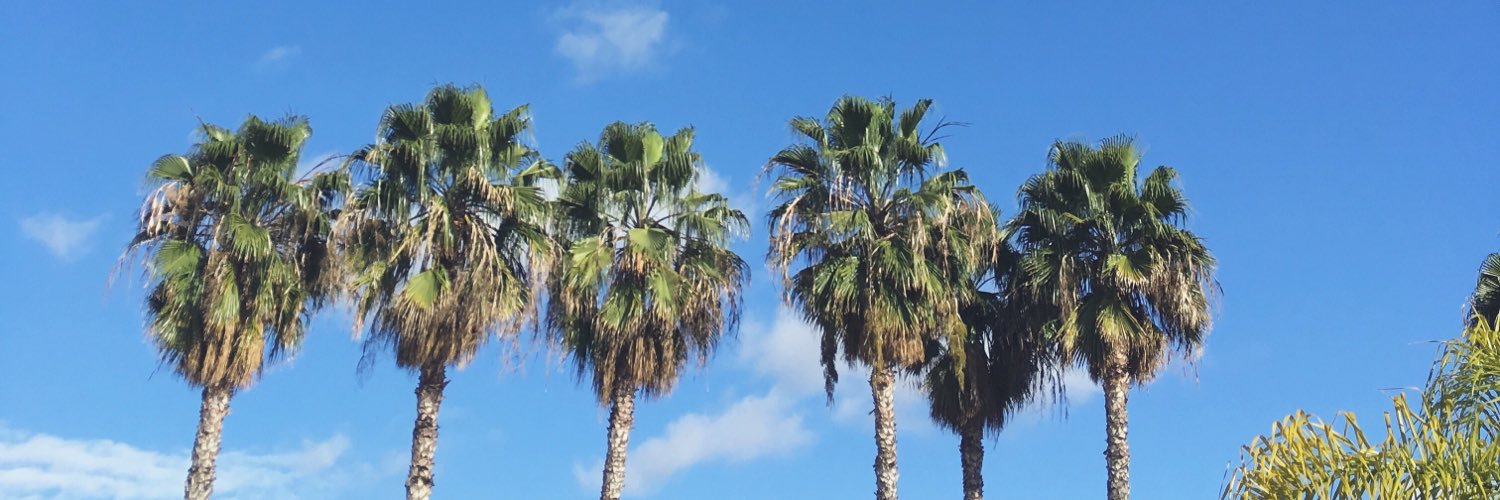 sapphiccap's profile banner image