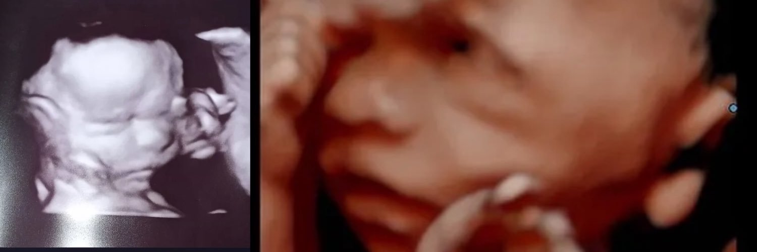 plugssdaughtaa's profile banner image
