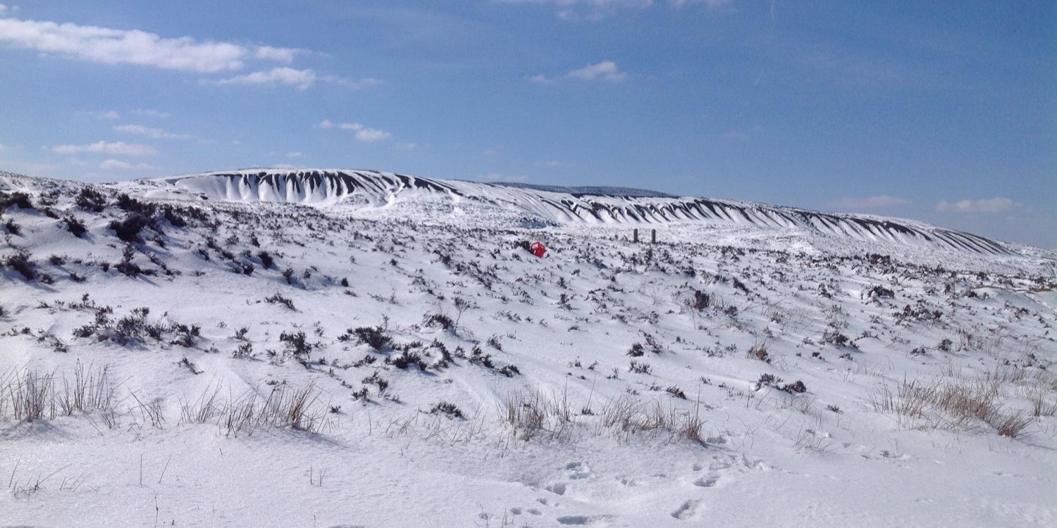 Natasha Lowther banner